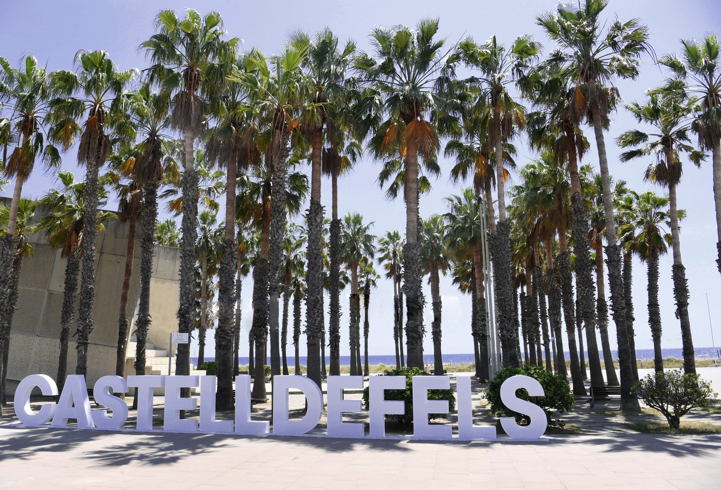 Palmeras y espacio público de Castelldefels